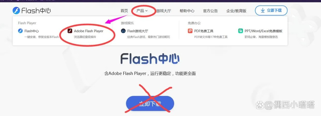 Flash版本与极迅加速器激活码解析——标杆产品的市场引领力