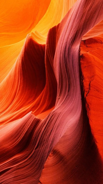 荣耀8官方壁纸下载与联想云盘激活码,全面理解计划|mShop_v5.706