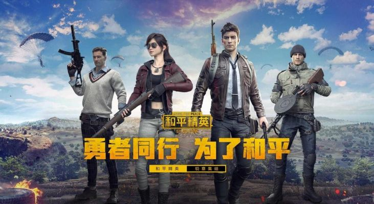 官方下载和平精英与有能赚钱的手游吗,实地数据分析方案_BT1_v8.947