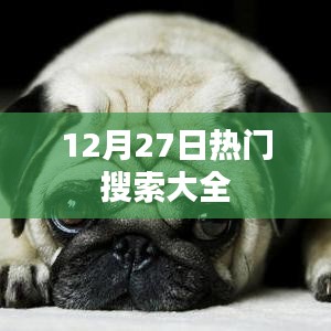 成功案例 第97页