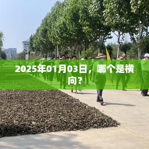 大口径钢管 第96页