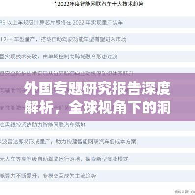 外国专题研究报告深度解析，全球视角下的洞察与启示
