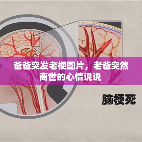 明目张胆 第3页