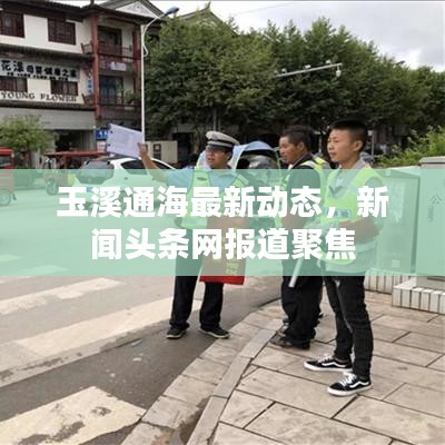 纲举目张 第2页