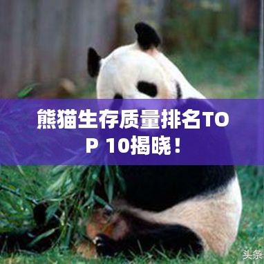 荣华富贵 第3页