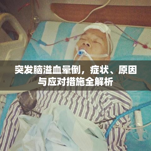 事必躬亲 第2页