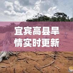 兵贵神速 第2页