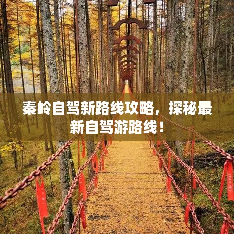 莺声燕语 第2页