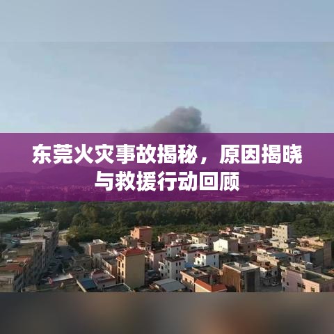 雅量高致 第2页