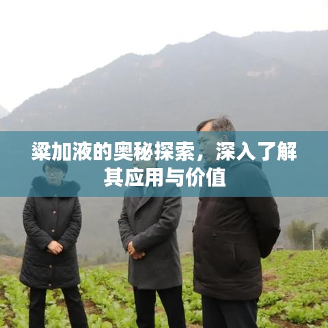 博古通今 第2页