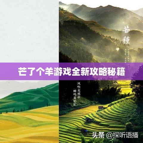花枝招展 第2页