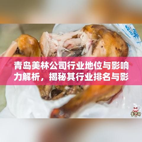 青岛美林公司行业地位与影响力解析，揭秘其行业排名与影响力