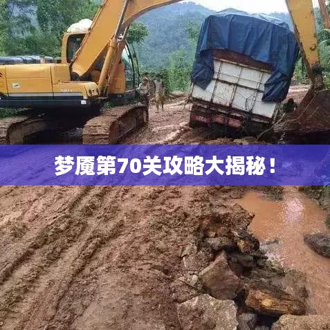 尽心竭力 第2页