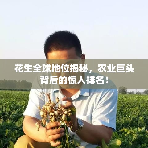指手画脚 第2页
