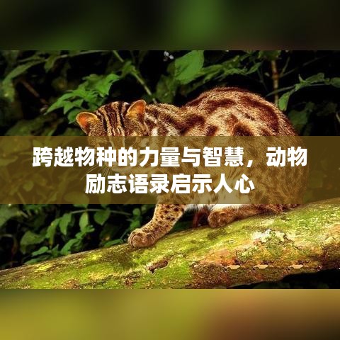 飞蛾扑火 第2页