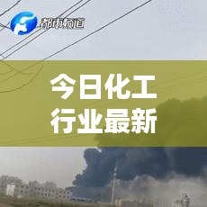 天生丽质 第2页