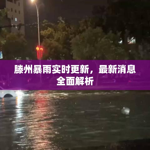 眉清目秀 第2页