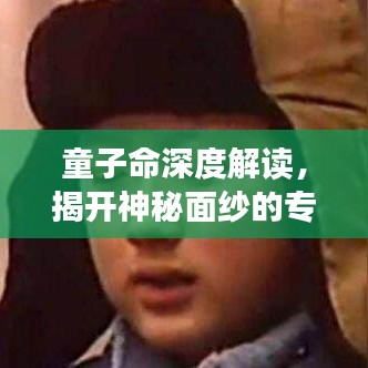 童子命深度解读，揭开神秘面纱的专题探索