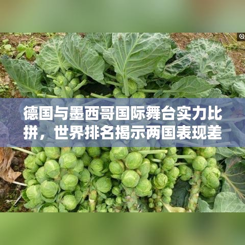 张灯结彩 第2页
