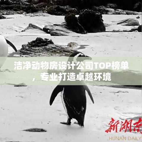 虫蚀鸟步 第2页