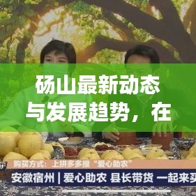 砀山最新动态与发展趋势，在线新闻头条速递