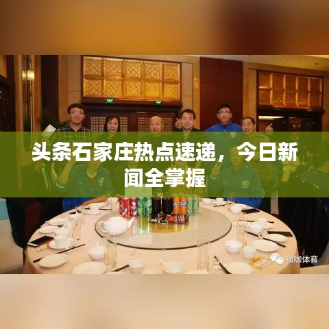 头条石家庄热点速递，今日新闻全掌握