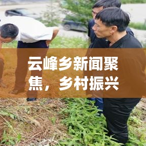 云峰乡新闻聚焦，乡村振兴与地方发展的融合创新之道