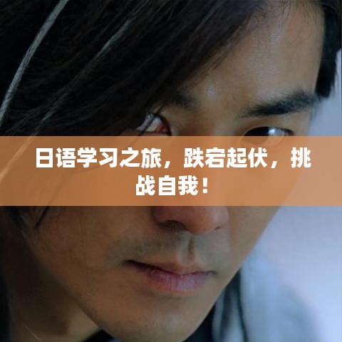 都中纸贵 第2页