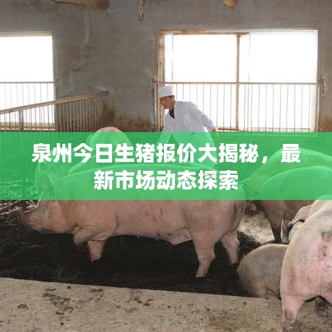 生张熟魏 第2页