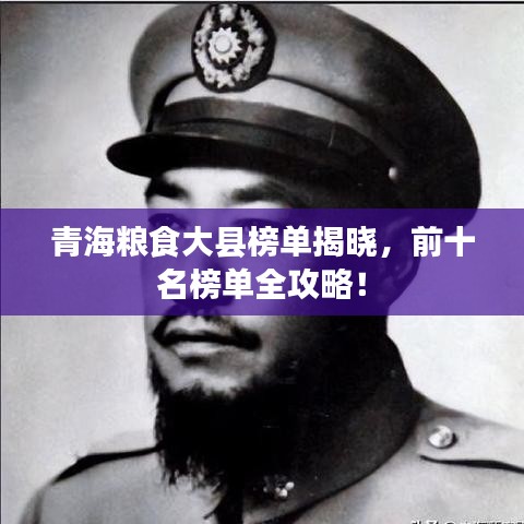 光明磊落 第2页