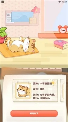 新版猫咪官方下载,快速计划解答设计_安卓版_v7.749
