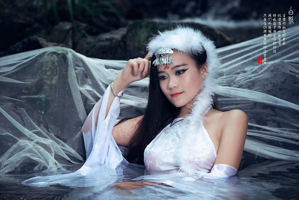 白狐下载官方,最新解答方案 PT_v9.127