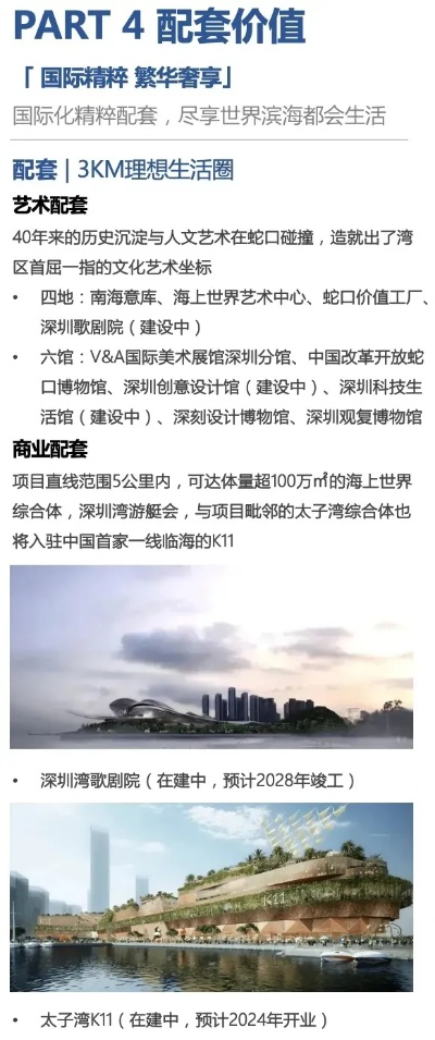 深城官方下载,实地解析说明&专属款1_v2.990