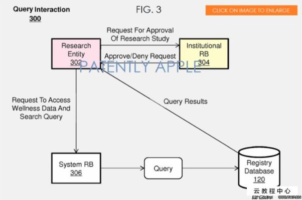 7plus版本,理论研究解析说明&amp;Executive1_v6.176