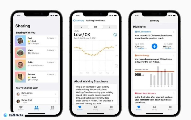 苹果6.1.3版本,综合计划评估说明_特别版_v10.785——创意工作的卓越工具