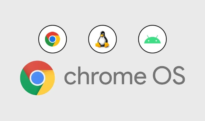 下载官方浏览器,系统评估说明 ChromeOS_v10.403
