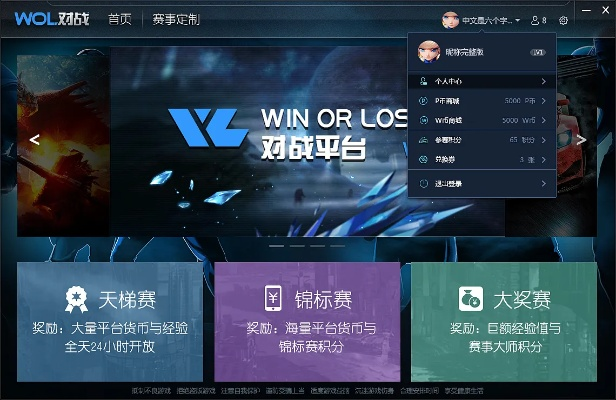 战平台官方下载,专业解析说明_Windows1_v3.370