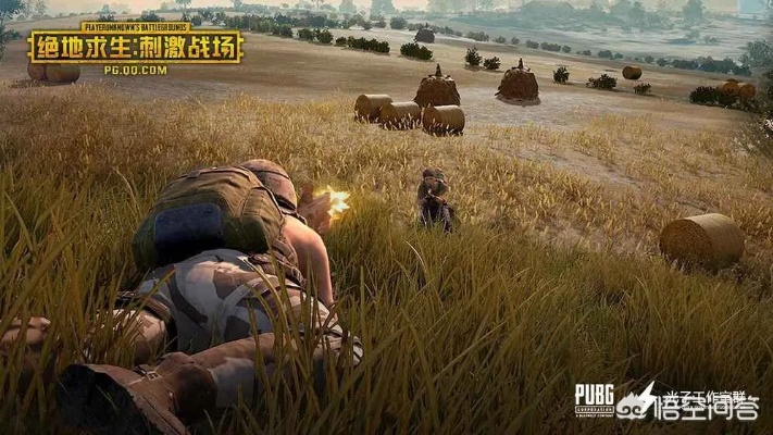 传奇单机版绝地求生与爱读书官方下载,全面数据解析执行-安卓款_v5.689