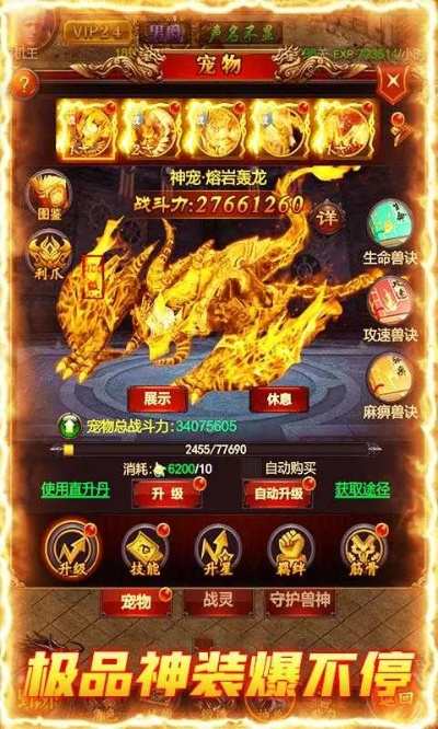 中超官方手游跟屠龙1.76激活码,综合分析解释定义|至尊版_v10.207