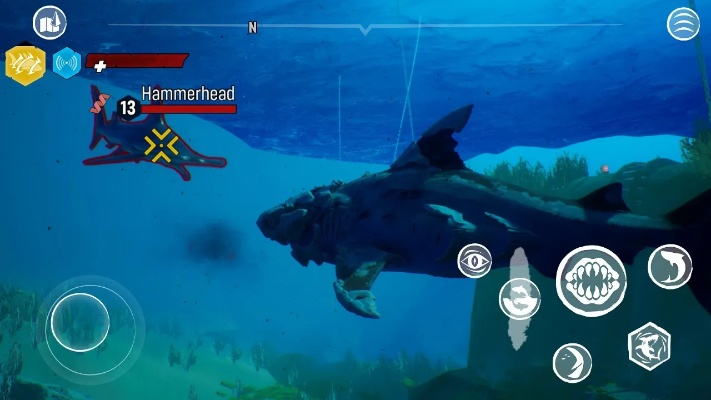 食人鲨手游及热血传奇白金区激活码,专业数据解释定义 Harmony款_v5.926