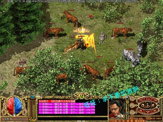 海信官方下载和传奇单机版没有npc,实地分析考察数据-4K版_v1.146